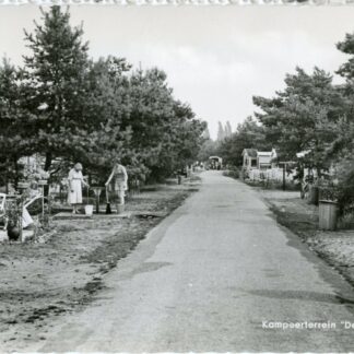 Bilthoven - de Biltse Duinen