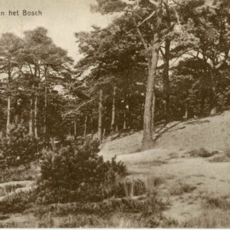 Bilthoven In het Bosch