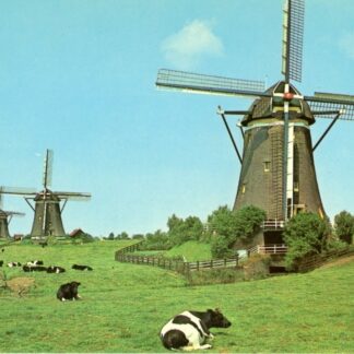 Leidschendam Molens Driemanspolder