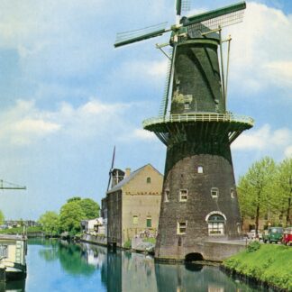 Schiedam Korenmolen De Walvisch